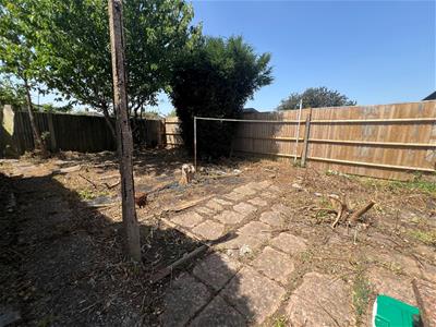 Picture 14